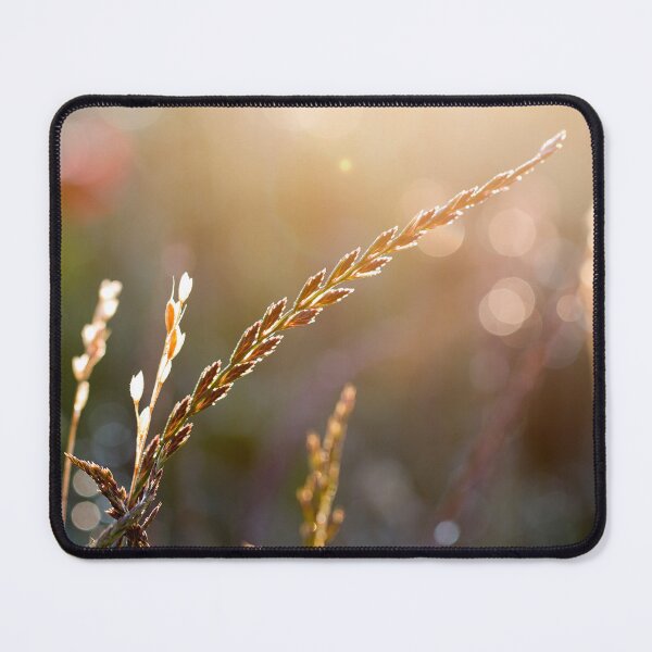 Item preview, Sunset in a warm summer meadow designed and sold by FOLK ART FUSION by heidiannemorris.