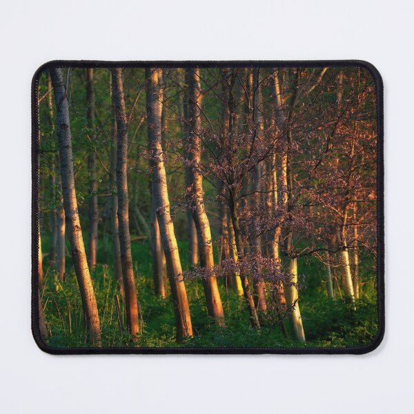 Item preview, The Beech Grove designed and sold by FOLK ART FUSION by heidiannemorris.