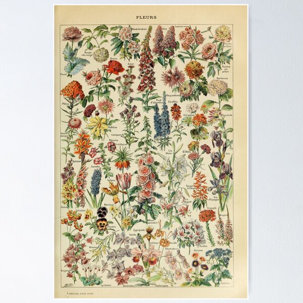 Item preview, Vintage Edible Fleurs Chart designed and sold by raimsauerrr.