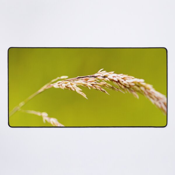 Item preview, Yorkshire Fog Grass designed and sold by FOLK ART FUSION.