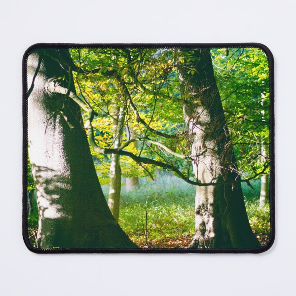 Item preview, Two Beech Trees in a Wood designed and sold by FOLK ART FUSION by heidiannemorris.