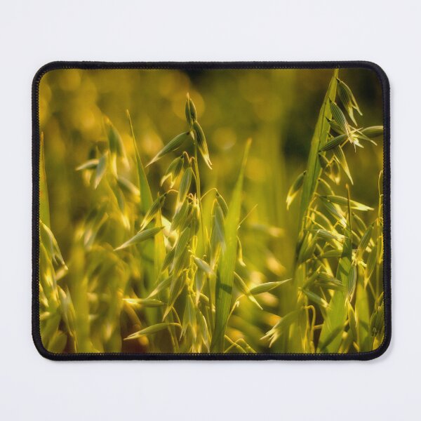 Item preview, Golden Oats at Sunset designed and sold by FOLK ART FUSION by heidiannemorris.
