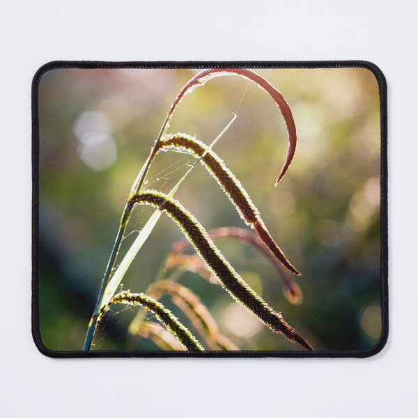 Item preview, Pendulous Sedge Carex Pendula designed and sold by FOLK ART FUSION by heidiannemorris.