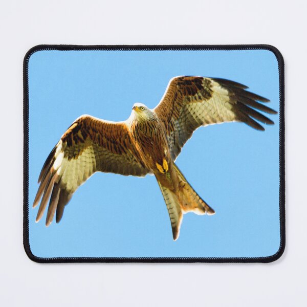 Item preview, Red Kite in Flight designed and sold by FOLK ART FUSION by heidiannemorris.