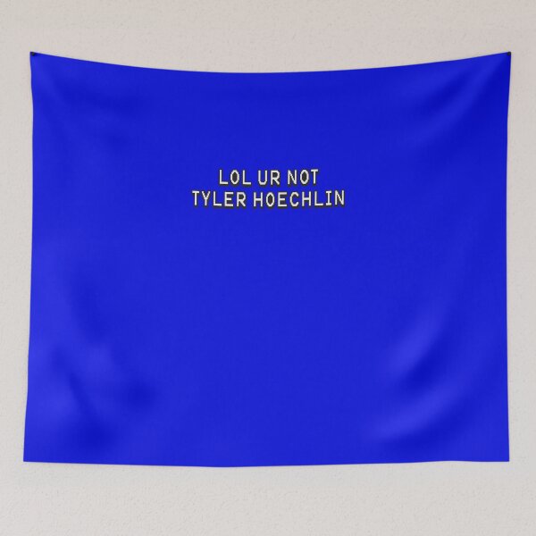 Item preview, lol ur not tyler hoechlin Sticker designed and sold by ManuelDolderer.