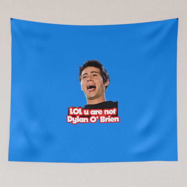Item preview, LOL u are not Dylan O&x27;Brien Sticker designed and sold by DenisSadic.