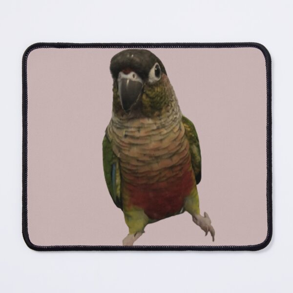 Item preview, Green Cheek Conure design | Conure | Small Parrot | Parakeet | Parrot lover designed and sold by TatianaLG.