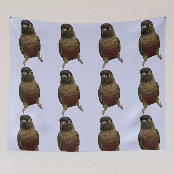 Item preview, Green Cheek Conure design | Conure | Small Parrot | Parakeet | Parrot lover designed and sold by TatianaLG.