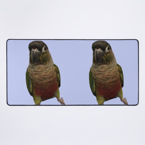 Item preview, Green Cheek Conure design | Conure | Small Parrot | Parakeet | Parrot lover designed and sold by TatianaLG.