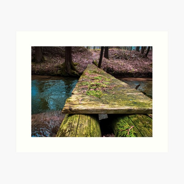 Fairy Bridge Art Print