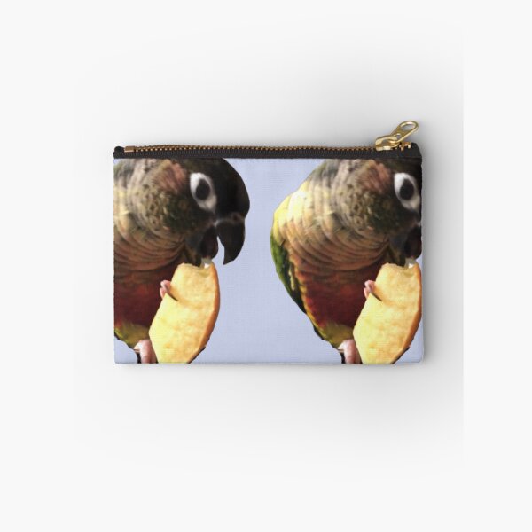 Item preview, Green Cheek Conure eating apple design | Conure eating | Small Parrot | Parakeet | Parrot lover designed and sold by TatianaLG.