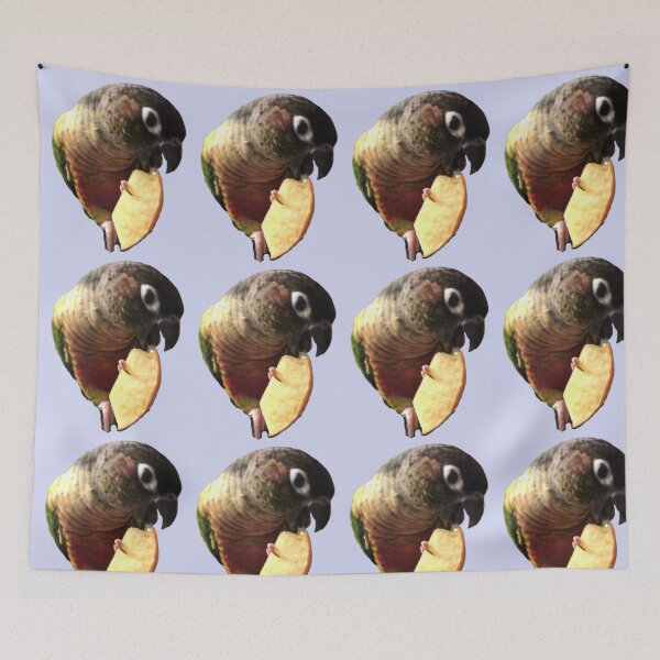 Item preview, Green Cheek Conure eating apple design | Conure eating | Small Parrot | Parakeet | Parrot lover designed and sold by TatianaLG.