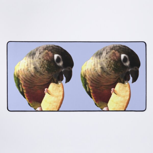Item preview, Green Cheek Conure eating apple design | Conure eating | Small Parrot | Parakeet | Parrot lover designed and sold by TatianaLG.