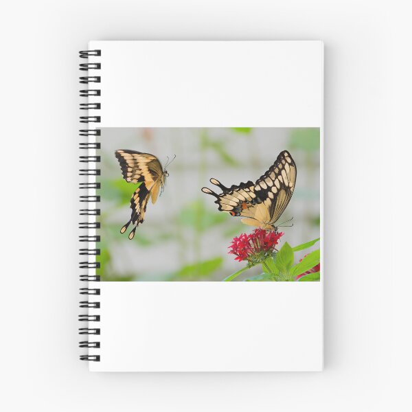 Item preview, Tiger Swallowtails designed and sold by Joe Saladino.