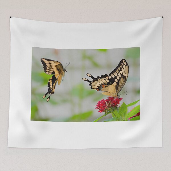 Item preview, Tiger Swallowtails designed and sold by Joe Saladino.
