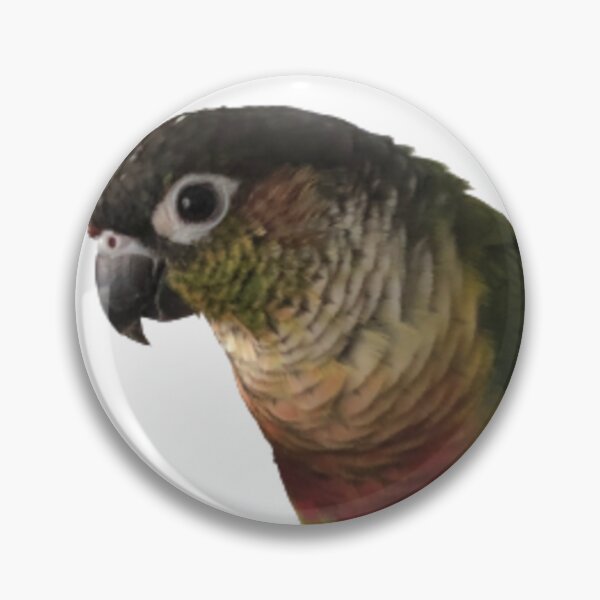 Item preview, Green Cheek Conure design | Conure | Small Parrot | Parakeet | Parrot lover designed and sold by TatianaLG.
