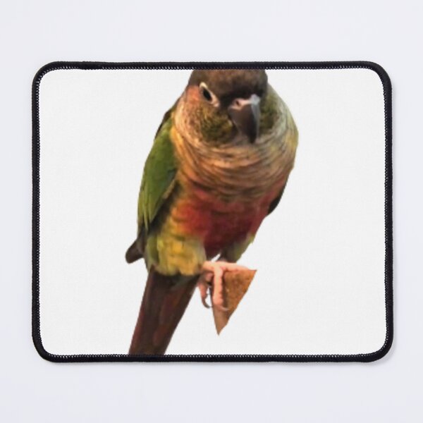 Item preview, Green Cheek Conure design | Conure | Small Parrot | Parakeet | Parrot lover designed and sold by TatianaLG.