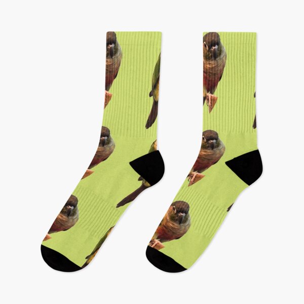 Item preview, Green Cheek Conure design | Conure | Small Parrot | Parakeet | Parrot lover designed and sold by TatianaLG.