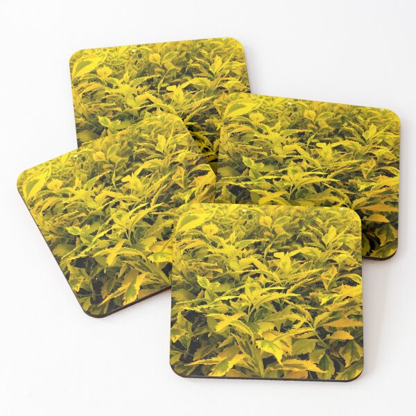 Item preview, Lovely Flowers designed and sold by CoolArtByMboya.
