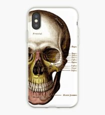 Gray's Anatomy Skull iPhone Case