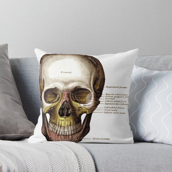 Item preview, Gray's Anatomy Skull designed and sold by Rachel Hume.