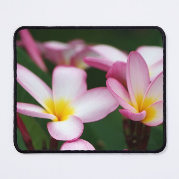 Item preview, Sweet Frangipani designed and sold by Rainy.