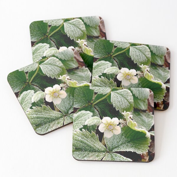 Item preview, Winter Strawberry Flower designed and sold by Jenie Yolland.