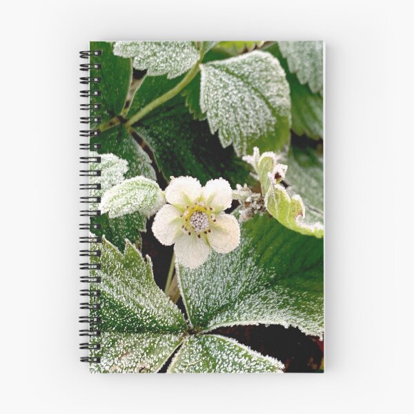 Item preview, Winter Strawberry Flower designed and sold by Jenie Yolland.