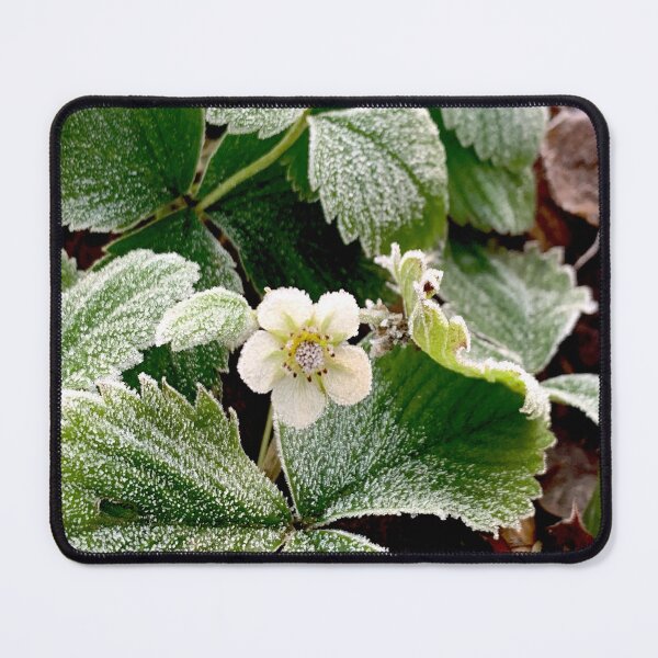 Item preview, Winter Strawberry Flower designed and sold by Jenie Yolland.