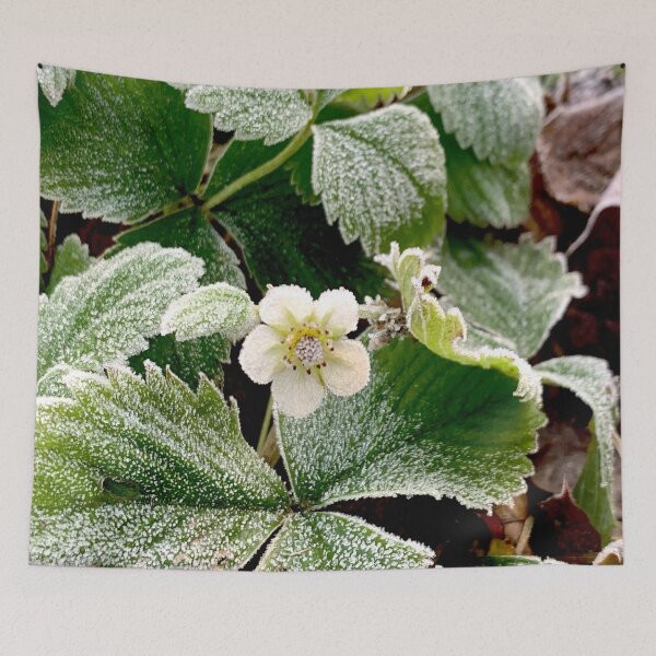 Item preview, Winter Strawberry Flower designed and sold by Jenie Yolland.
