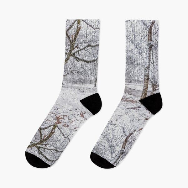 Item preview, Snow Storm At The Park Painterly designed and sold by mljdwhite.