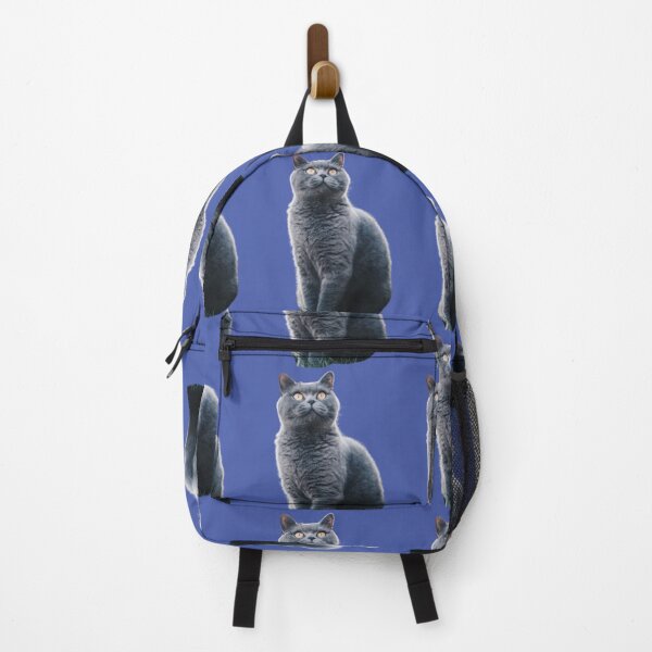 Item preview, Grey Chartreux cat looking up design | Cute and fluffy kitty cat | Chartreux Cat lover | Funny kitty cat design designed and sold by TatianaLG.