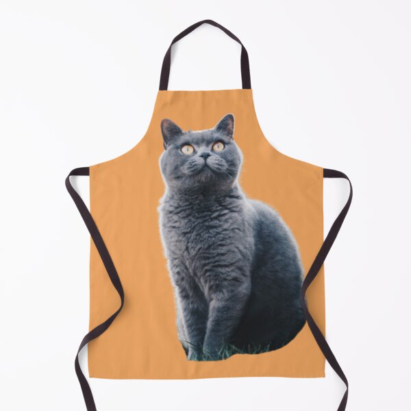 Item preview, Grey Chartreux cat looking up design | Cute and fluffy kitty cat | Chartreux Cat lover | Funny  kitty cat design designed and sold by TatianaLG.