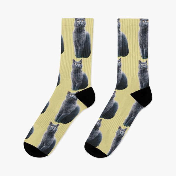 Item preview, Grey Chartreux cat looking up design | Cute and fluffy kitty cat | Chartreux Cat lover | Funny  kitty cat design designed and sold by TatianaLG.
