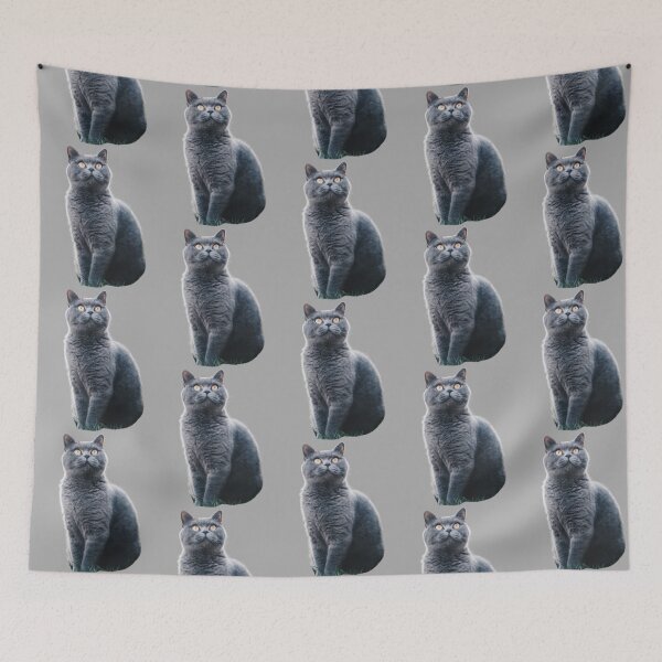 Item preview, Grey Chartreux cat looking up design | Cute and fluffy kitty cat | Chartreux Cat lover | Funny  kitty cat design designed and sold by TatianaLG.