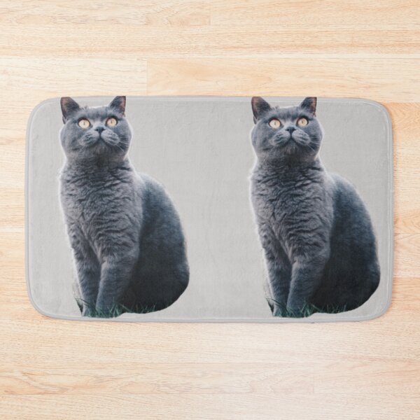 Item preview, Grey Chartreux cat looking up design | Cute and fluffy kitty cat | Chartreux Cat lover | Funny  kitty cat design designed and sold by TatianaLG.