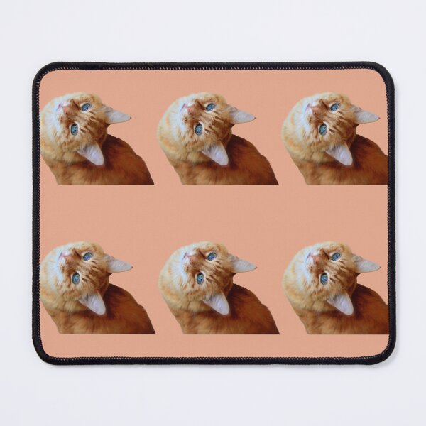 Item preview, Orange cat with blue eyes looking up backwards design | Cute and fluffy kitty cat | Cat lover | Funny kitty cat design designed and sold by TatianaLG.