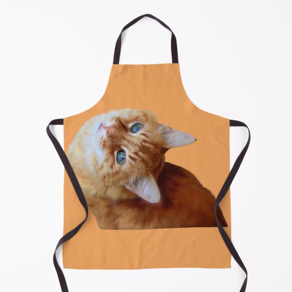 Item preview, Orange cat with blue eyes looking up backwards design | Cute and fluffy kitty cat | Cat lover | Funny kitty cat design designed and sold by TatianaLG.