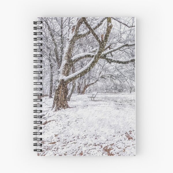 Item preview, Snow Storm At The Park Painterly designed and sold by mljdwhite.