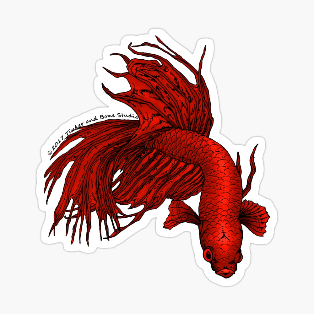 Scarlet Crowntail Betta Art Board Print By Tinkerandbone Redbubble