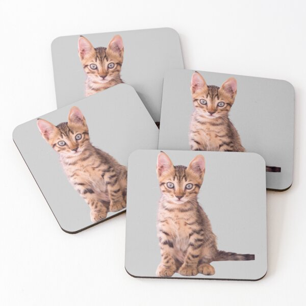 Item preview, Orange cat kitten design | Cute and fluffy kitty cat | Cat lover | Funny kitty cat design designed and sold by TatianaLG.