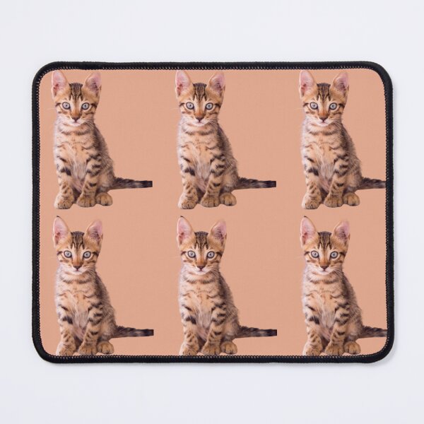 Item preview, Orange cat kitten design | Cute and fluffy kitty cat | Cat lover | Funny kitty cat design designed and sold by TatianaLG.