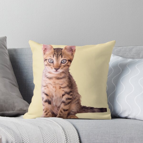 Item preview, Orange cat kitten design | Cute and fluffy kitty cat | Cat lover | Funny kitty cat design designed and sold by TatianaLG.