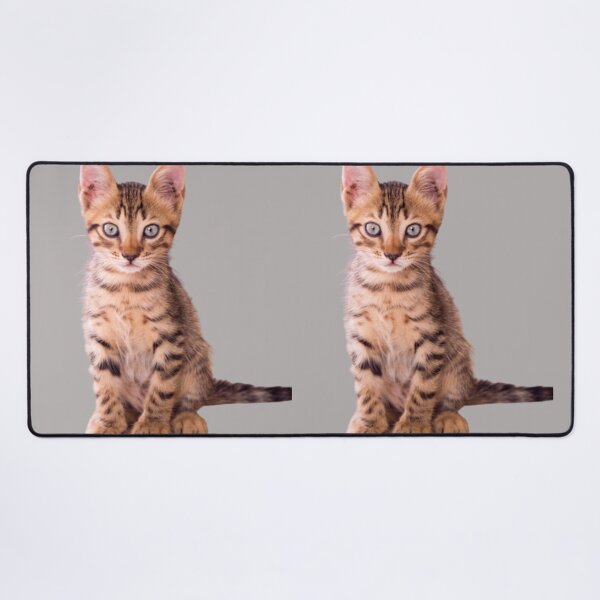 Item preview, Orange cat kitten design | Cute and fluffy kitty cat | Cat lover | Funny kitty cat design designed and sold by TatianaLG.