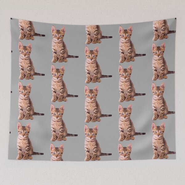 Item preview, Orange cat kitten design | Cute and fluffy kitty cat | Cat lover | Funny kitty cat design designed and sold by TatianaLG.