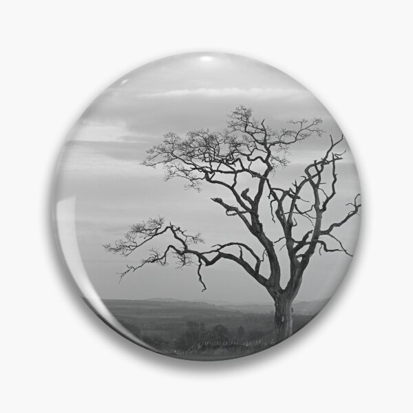 Item preview, Old Tree designed and sold by ShinyPhoto.