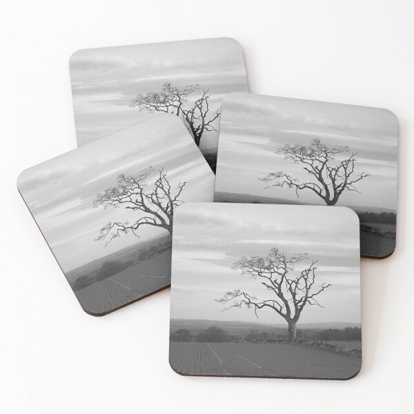 Item preview, Old Tree designed and sold by ShinyPhoto.