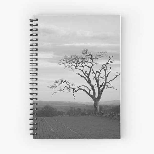 Item preview, Old Tree designed and sold by ShinyPhoto.