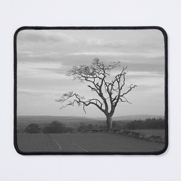 Item preview, Old Tree designed and sold by ShinyPhoto.