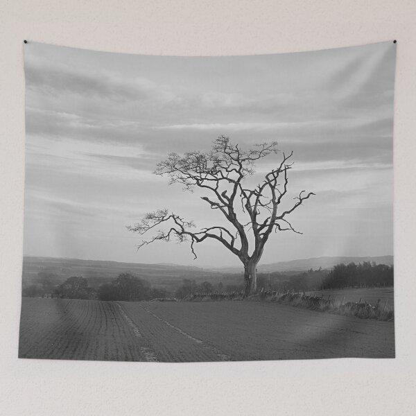 Item preview, Old Tree designed and sold by ShinyPhoto.